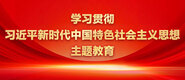 白虎视频网站黄色爆操混血学习贯彻习近平新时代中国特色社会主义思想主题教育_fororder_ad-371X160(2)